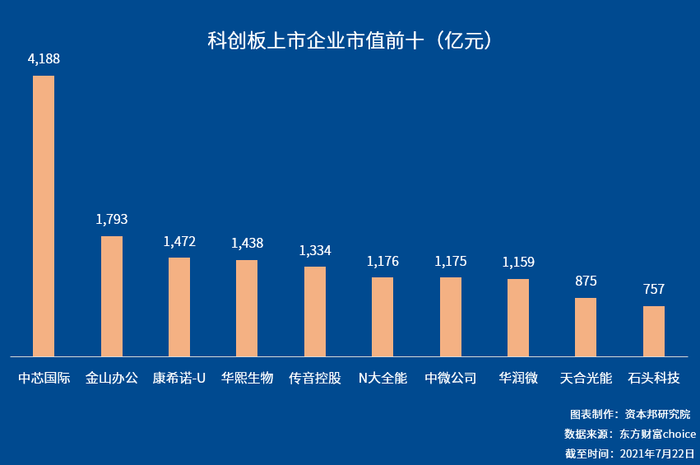 科创板首批上市股票的崛起及未来展望