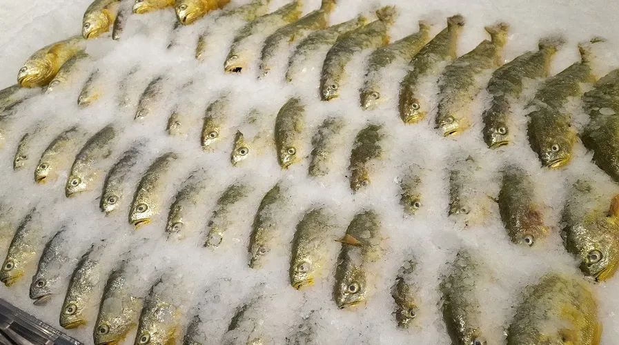 最早冷冻食品新冠病毒的发现及其影响分析