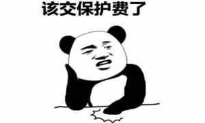 第962页