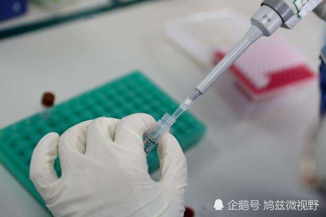 青岛疫情最早确诊病例深度剖析