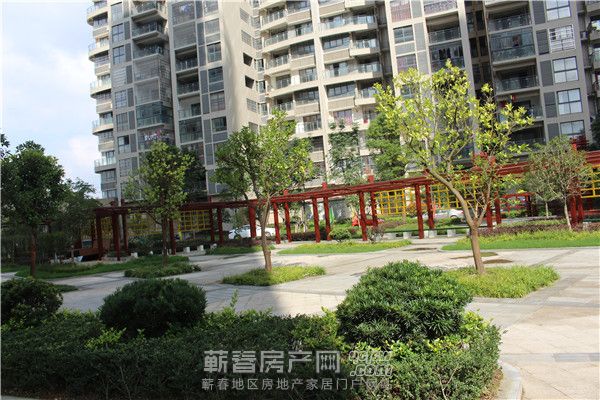 蕲春最早房产网的发展历程与回顾