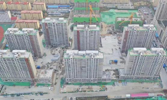新冠疫情下政策应对的挑战与反思