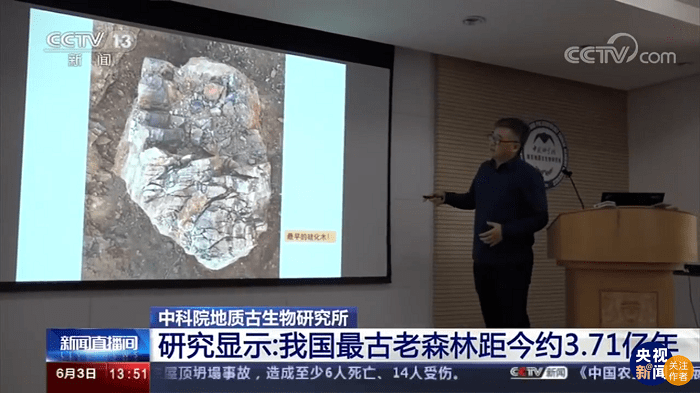 平茂 第2页