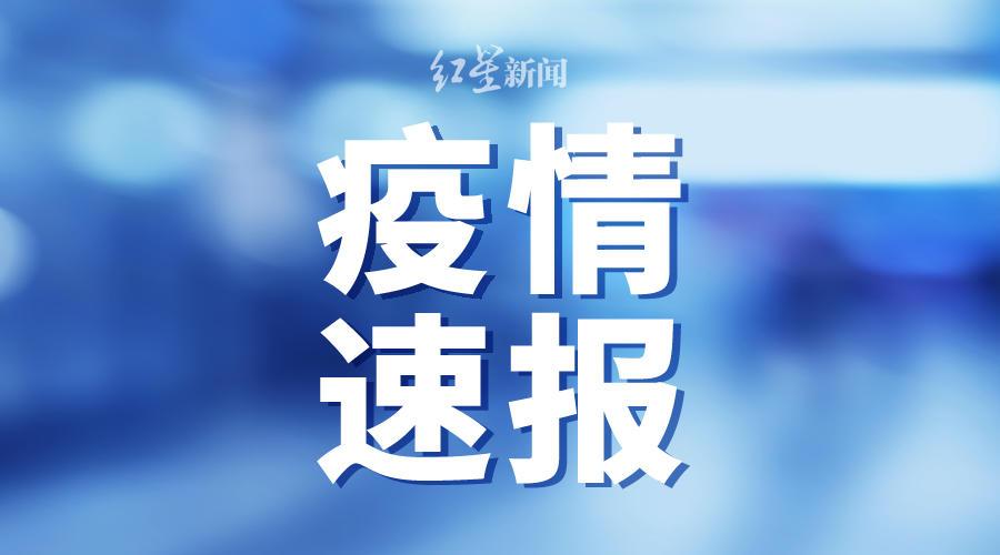 重庆早期输入病例的探究与反思