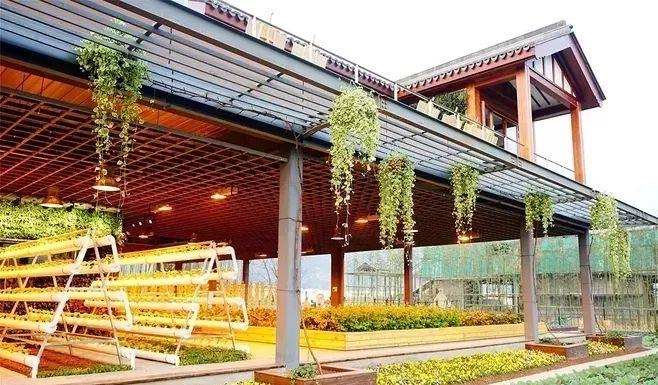 机械自动化的早期探索及其启示