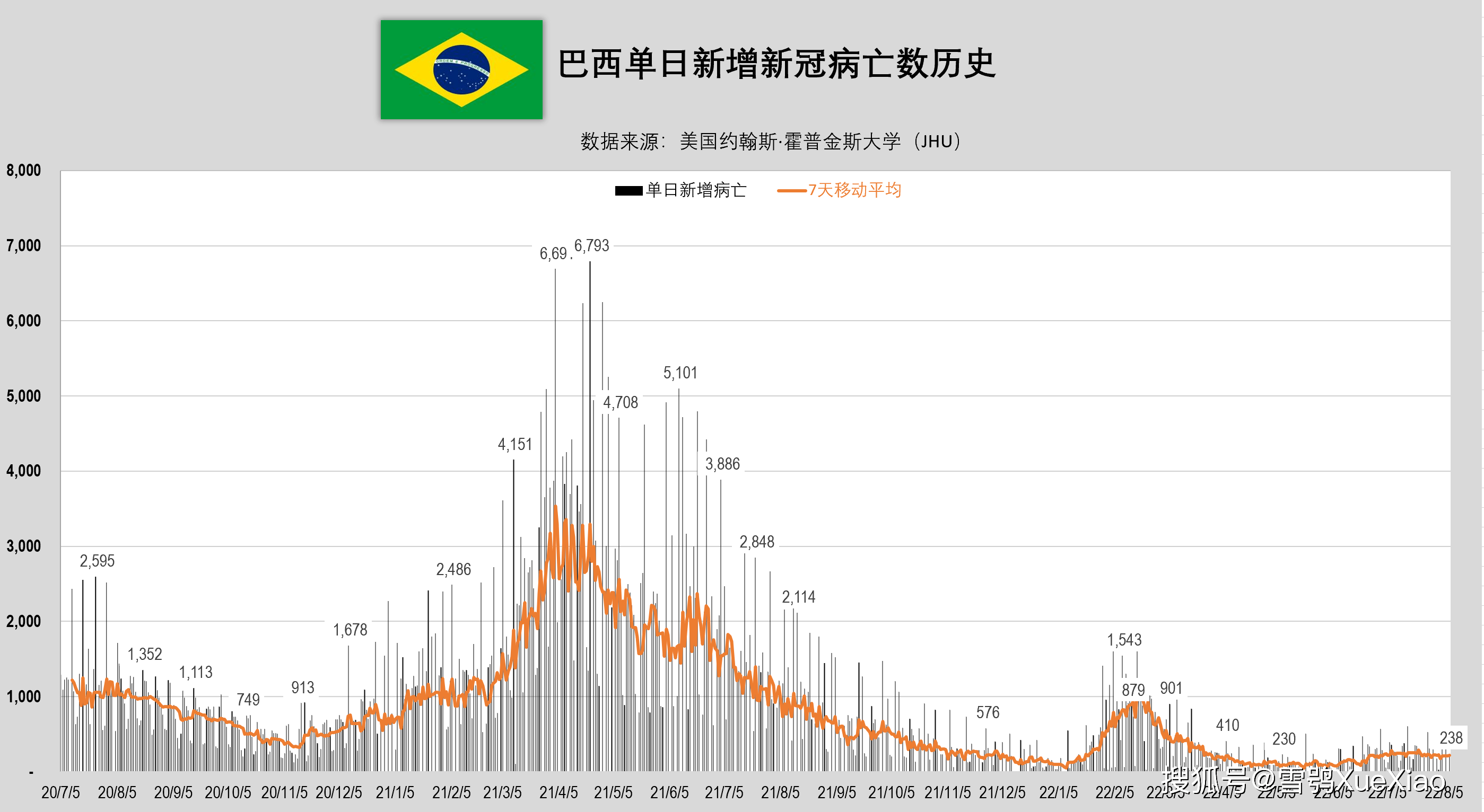 巴西新冠病毒疫情起源与早期传播揭秘