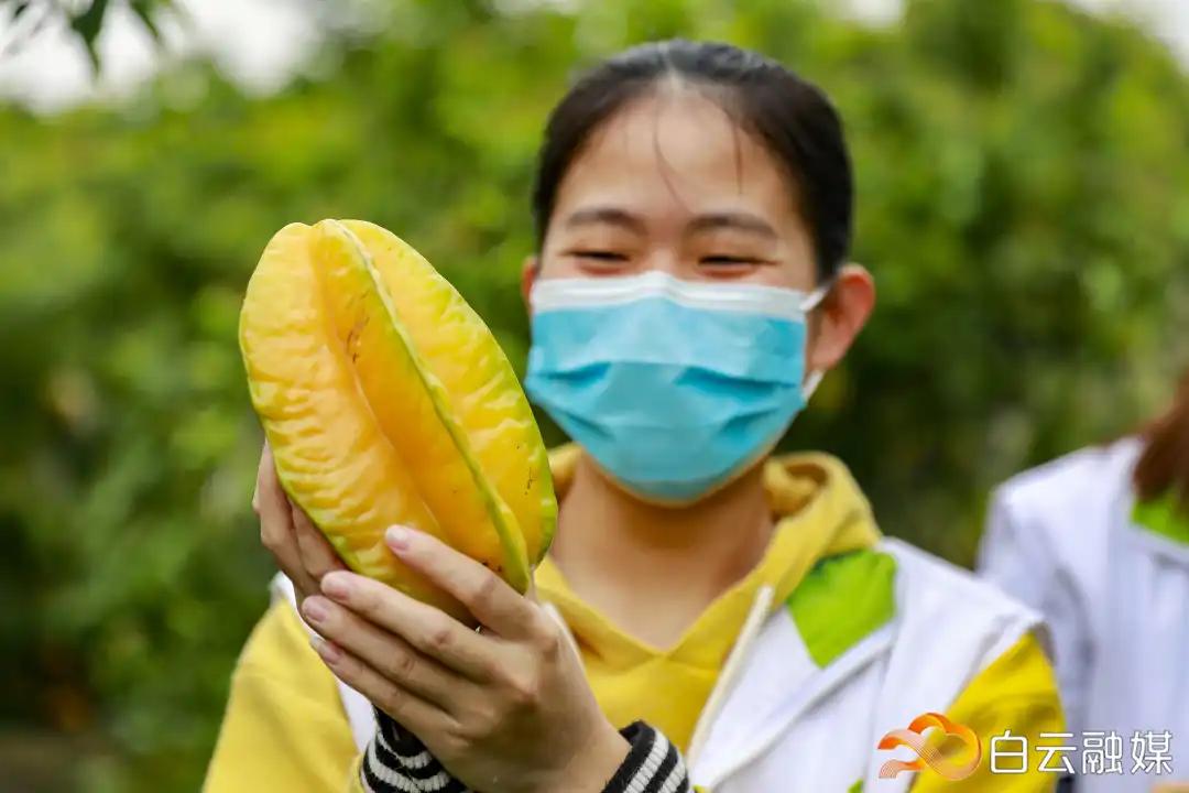 孛俊雅 第2页