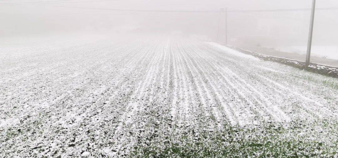 河南多地初雪降临，气象分析与美景欣赏