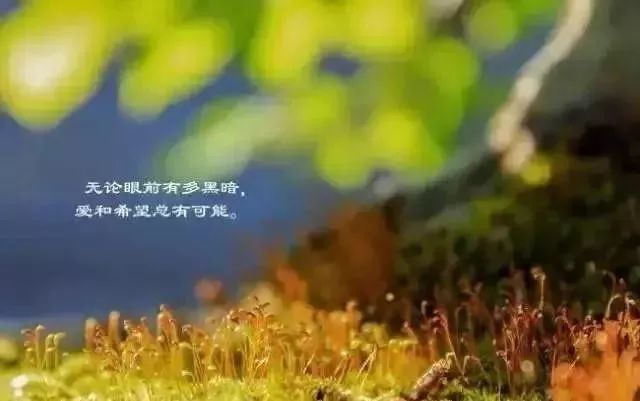 早安图片，温暖问候开启美好一天