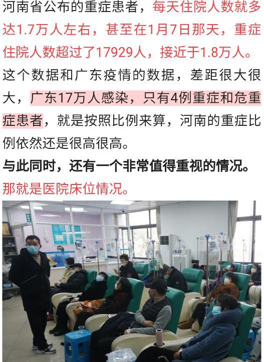 布市疫情首发消息及其深远影响