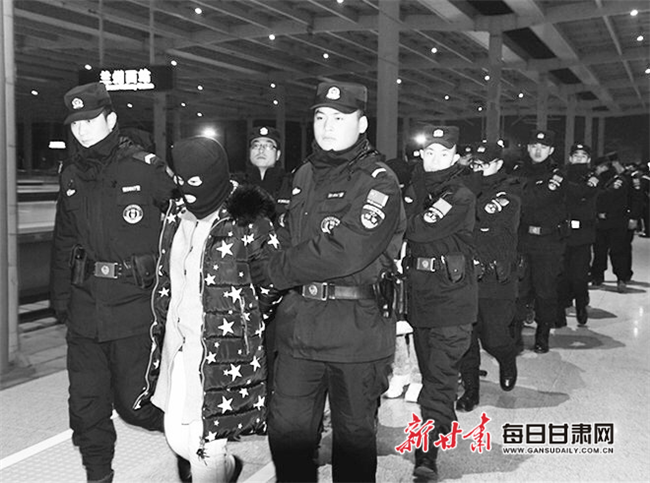 甘肃早期电信诈骗案件内幕揭秘