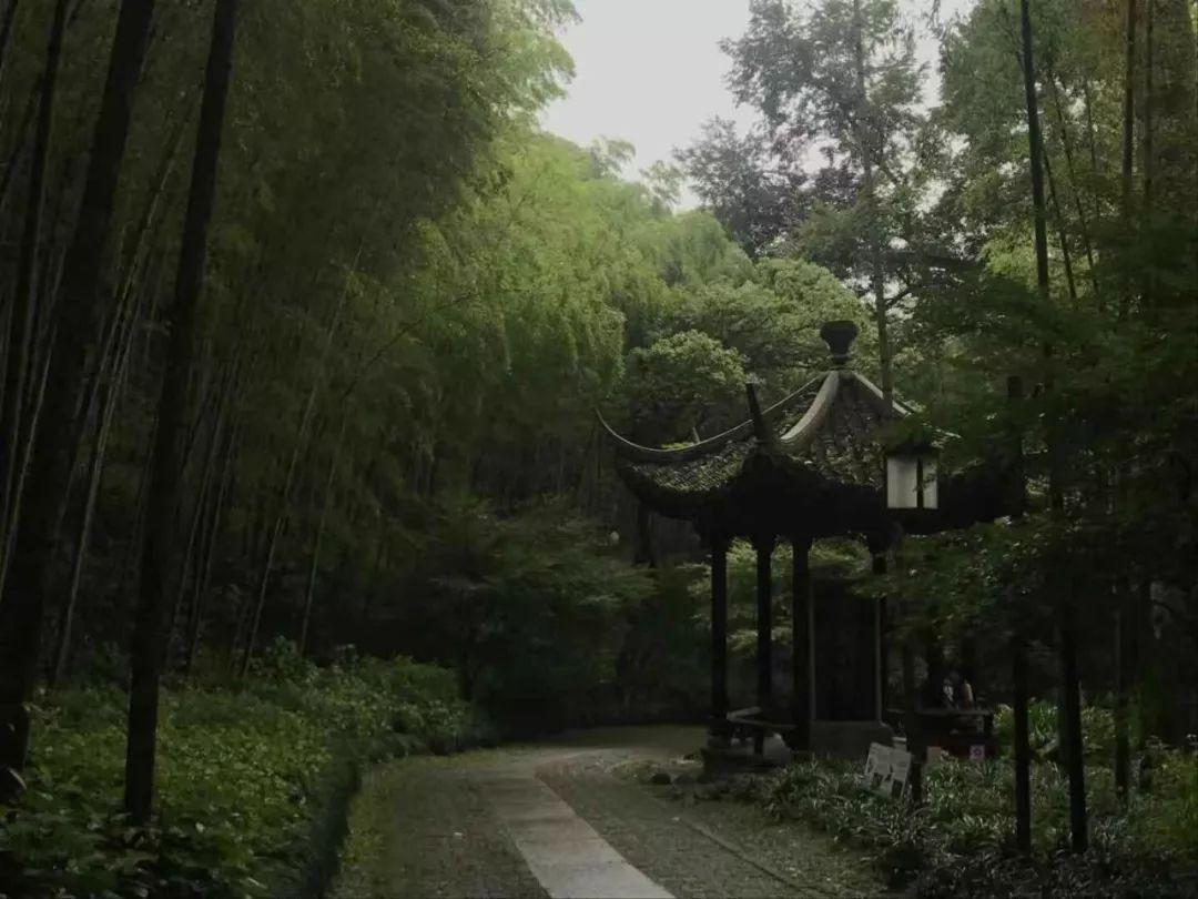 上海到大理，政策研究、历史变迁与未来发展展望