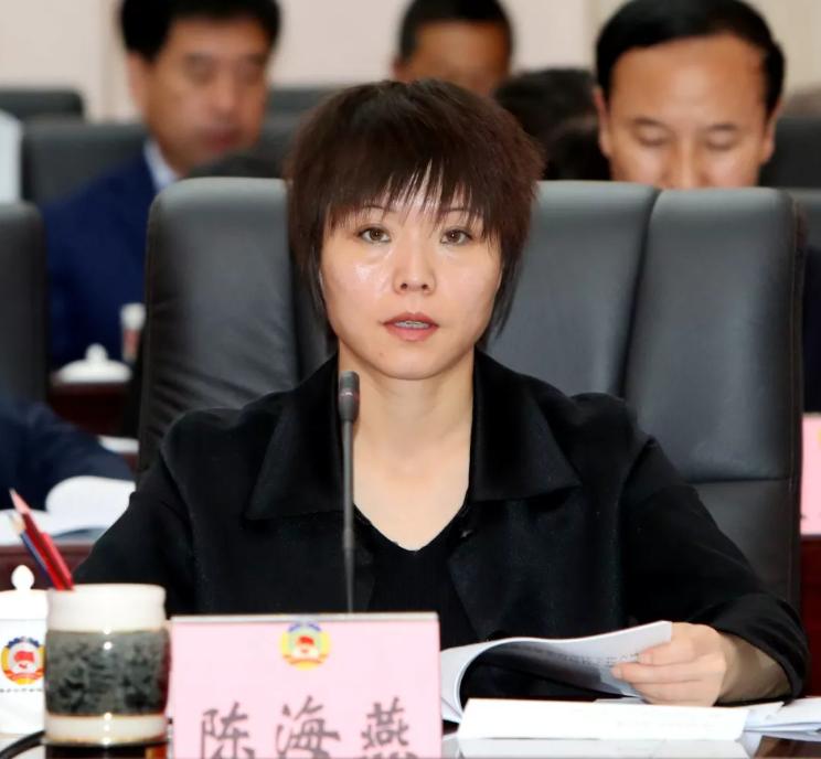 国际发言人起源与早期发言，追溯历史，探索国际交流先驱者的足迹