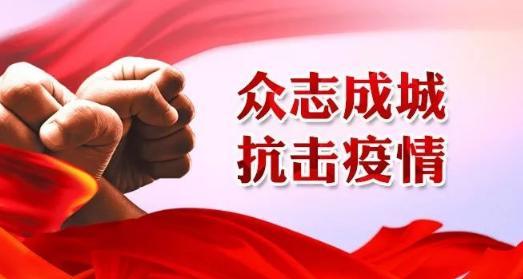 内豪疫情最早消息揭秘，影响与启示