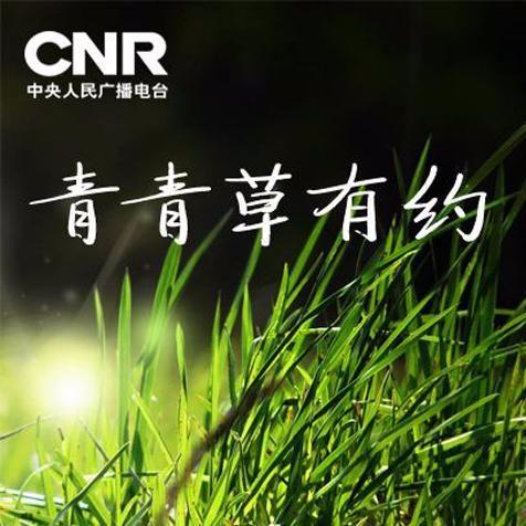 青青青草，自然之美的免费观赏盛宴