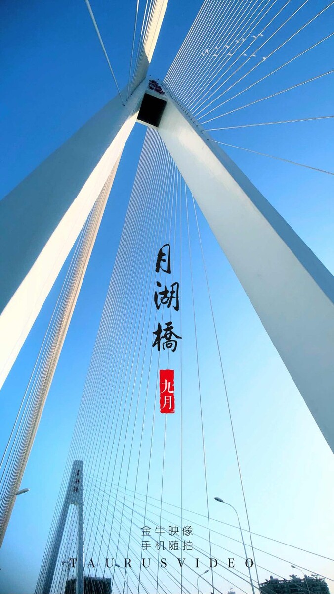 月湖桥最新动态，历史与未来的交汇点