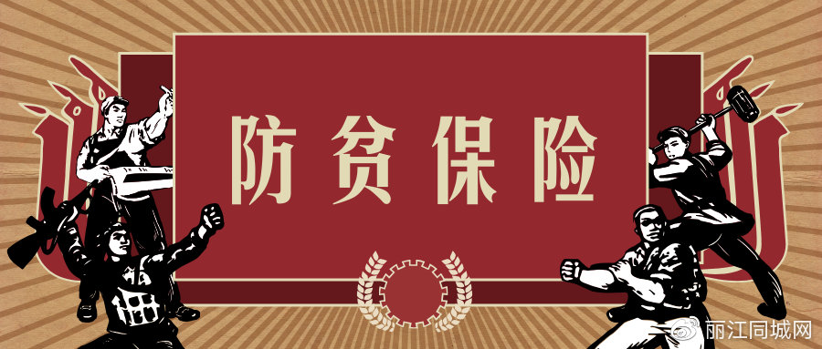 防贫保险政策初探，起源与深远影响