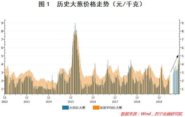 全国大葱早期价格行情分析与预测