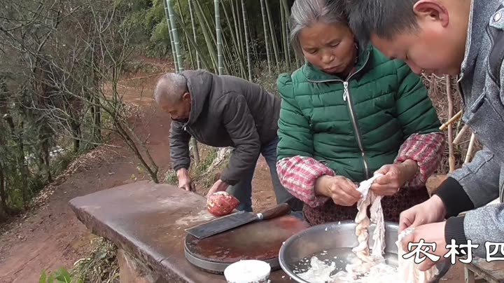 农村四哥视频，回溯历程，前瞻未来
