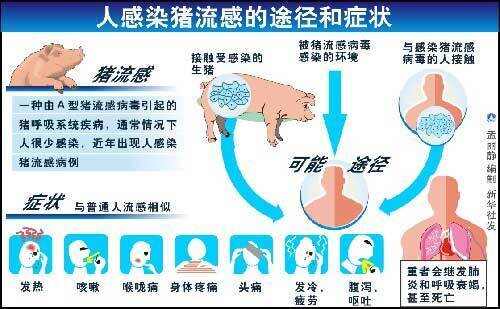 2025年4月10日 第12页