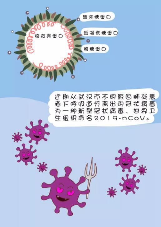 新冠肺炎与冷链，全球关注的疫情溯源探讨