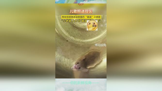 耗子尾汁，探寻网络文化源头与变迁的热门词汇之旅