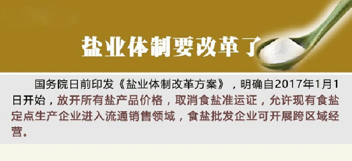 盐业改革最新动态，2025年展望及其影响分析