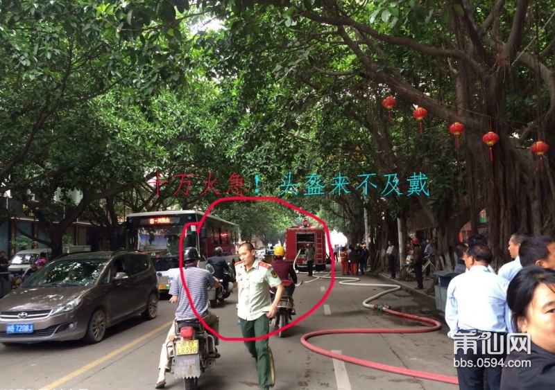 綦树里传奇故事首曝光，探寻历史中的神秘面纱