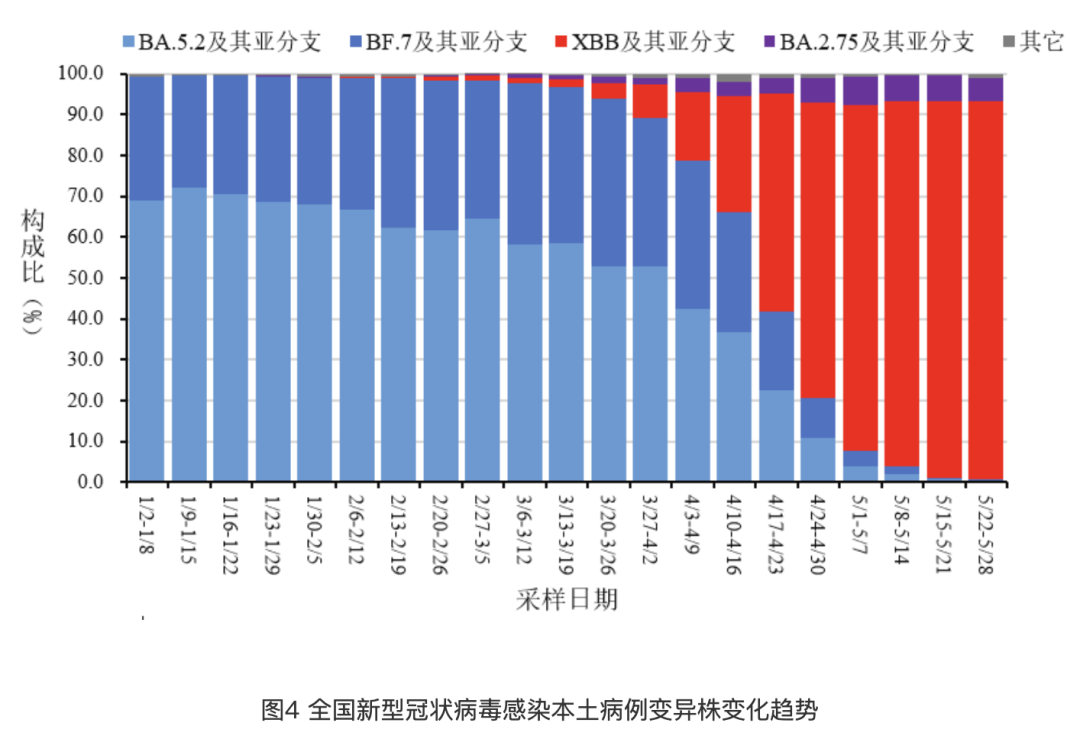 喀什疫情十一月数据深度解析