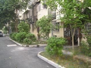 绍兴最早二手房，历史、市场与未来展望分析