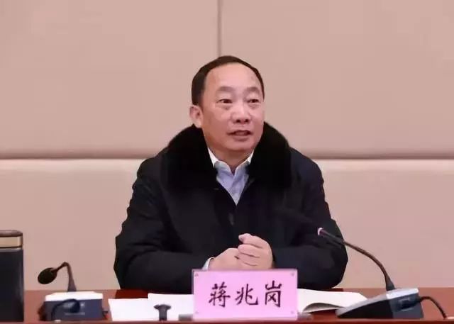兆岗最新动态，揭开未来序幕
